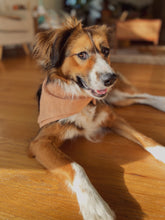 Linen Bandana