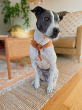 Linen Bandana