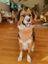 Linen Bandana